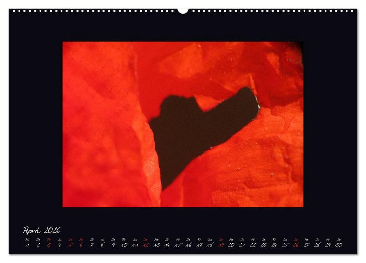 Produktbild: MOHNographie (hochwertiger Premium Wandkalender 2026 DIN A2 quer), Kunstdruck in Hochglanz