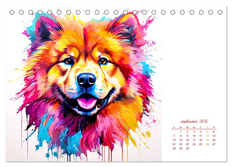 Produktbild: Show canin (Calendrier de bureau 2026 DIN A5 vertical), CALVENDO calendrier mensuel