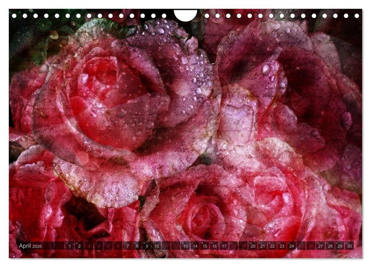 Produktbild: Gothic Rose - Rosen aus dem Garten der Finsternis (Wandkalender 2026 DIN A4 quer), CALVENDO Monatskalender