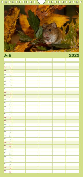 Produktbild: Familienplaner Weltnaturerbe Hainich (Wandkalender 2022 , 21 cm x 45 cm, hoch)