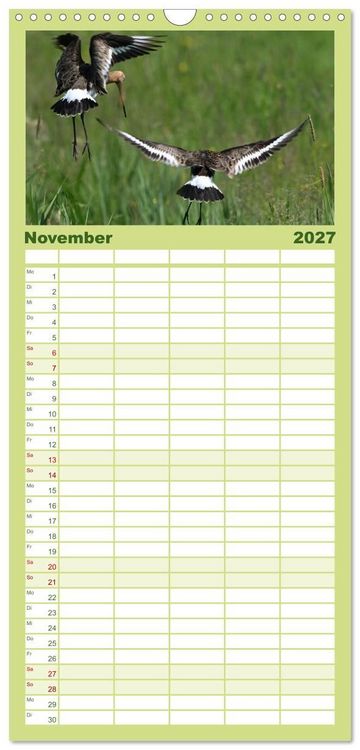Produktbild: Familienplaner 2027 - Die bedrohten Uferschnepfen mit 5 Spalten (Wandkalender, 21 x 45 cm) CALVENDO
