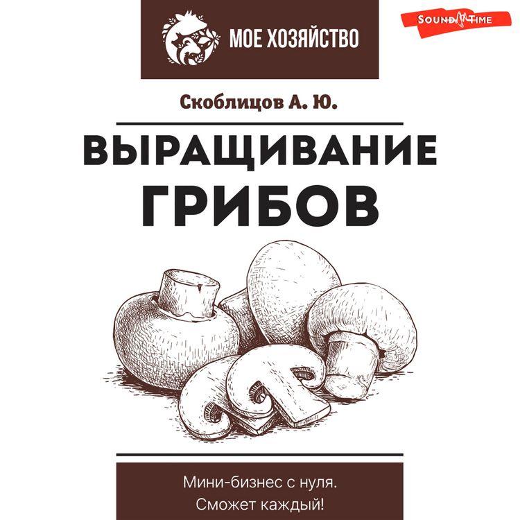Produktbild: Vyraschivanie gribov. Mini-biznes s nulya