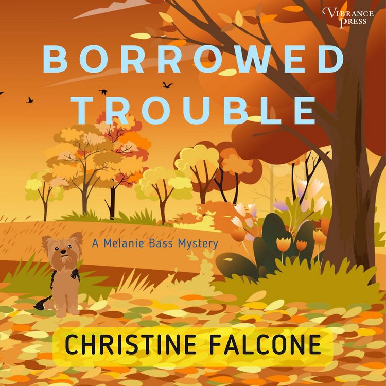 Produktbild: Borrowed Trouble