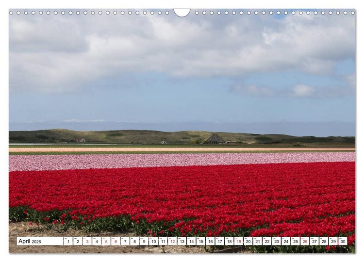 Produktbild: Callantsoog (Wandkalender 2026 DIN A3 quer), CALVENDO Monatskalender