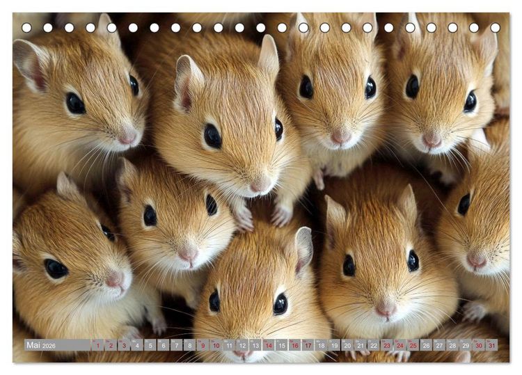 Produktbild: Maus im Haus - der Gerbil Kalender (Tischkalender 2026 DIN A5 quer), CALVENDO Monatskalender