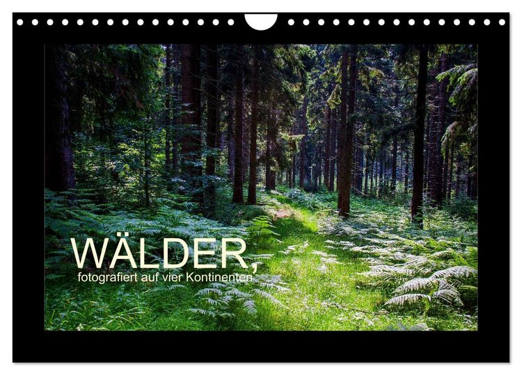 Produktbild: W&auml;lder, fotografiert auf vier Kontinenten (Wandkalender 2026 DIN A4 quer), CALVENDO Monatskalender
