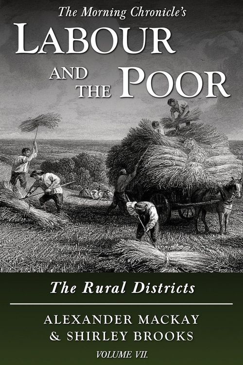 Produktbild: Labour and the Poor Volume VII