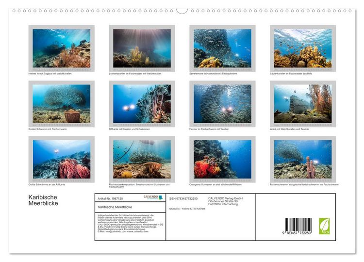 Produktbild: Karibische Meerblicke (hochwertiger Premium Wandkalender 2026 DIN A2 quer), Kunstdruck in Hochglanz