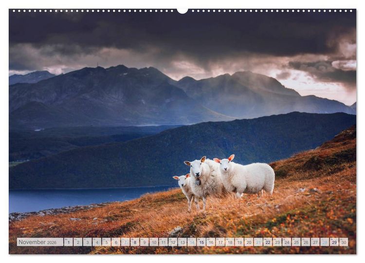 Produktbild: Schafe - Raues Wetter, weiche Wolle (hochwertiger Premium Wandkalender 2026 DIN A2 quer), Kunstdruck in Hochglanz