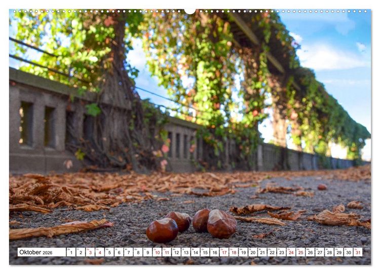 Produktbild: Kassel begeistert (Wandkalender 2026 DIN A2 quer), CALVENDO Monatskalender