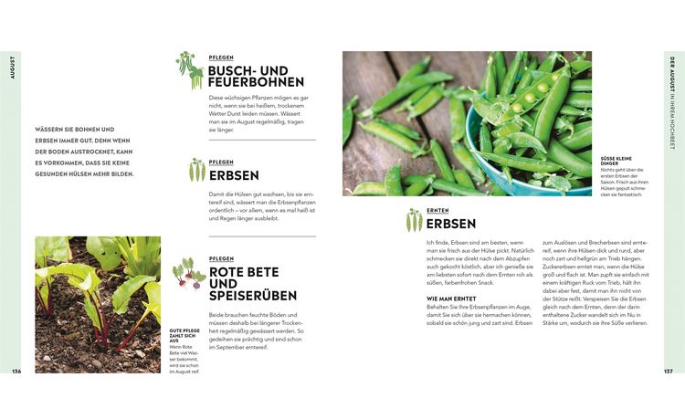 Produktbild: Hochbeet