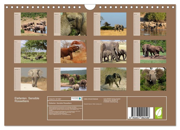 Produktbild: Elefanten. Sensible R&uuml;sseltiere (Wandkalender 2026 DIN A4 quer), CALVENDO Monatskalender