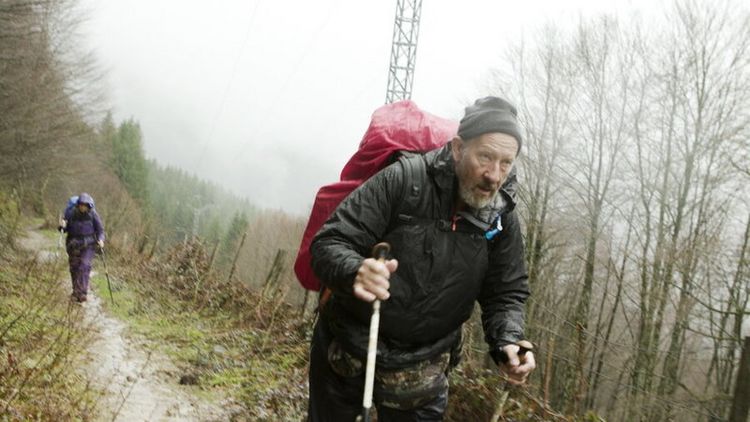 Produktbild: Himmel &uuml;ber dem Camino - Der Jakobsweg ist Leben!