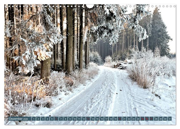 Produktbild: Wiesen W&auml;lder Weiher. Der Naturpark Augsburg-Westliche W&auml;lder (Wandkalender 2026 DIN A3 quer), CALVENDO Monatskalender