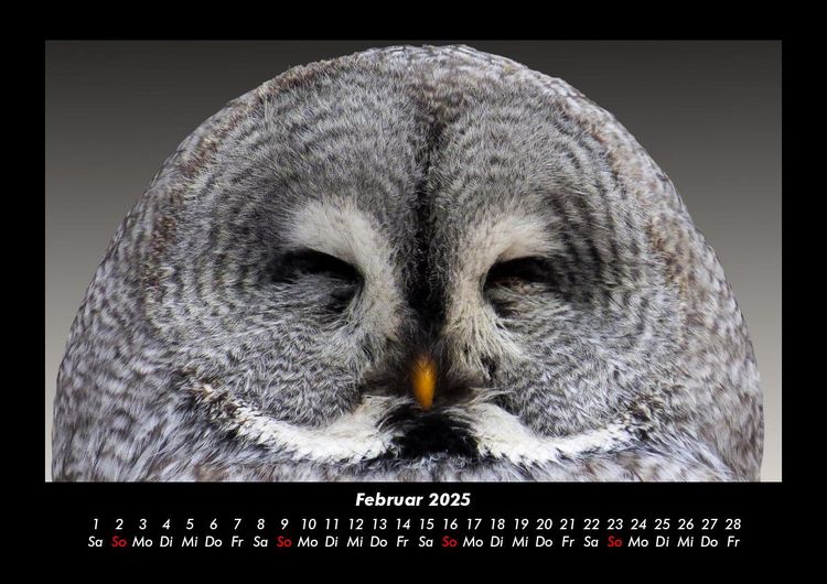 Produktbild: Vogelparadies 2025 Fotokalender DIN A3