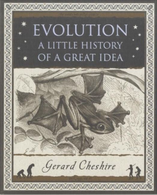 Produktbild: Evolution