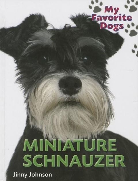 Produktbild: Miniature Schnauzer
