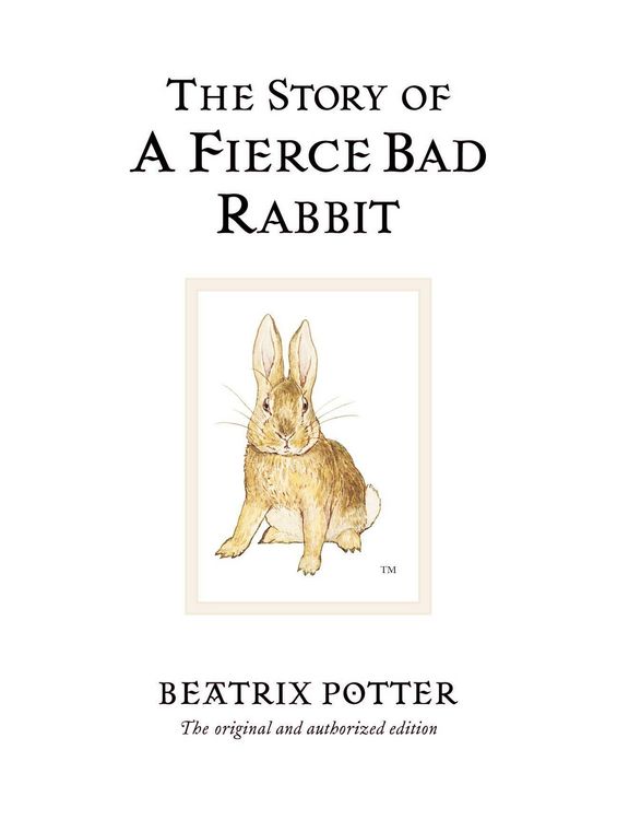 Produktbild: The Story of a Fierce Bad Rabbit