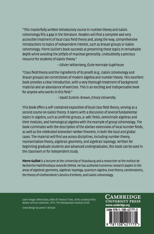 Produktbild: A Gentle Course in Local Class Field Theory