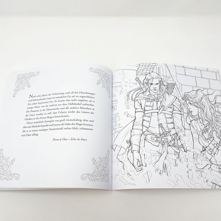 Produktbild: Das gro&szlig;e Throne of Glass-Fanbuch