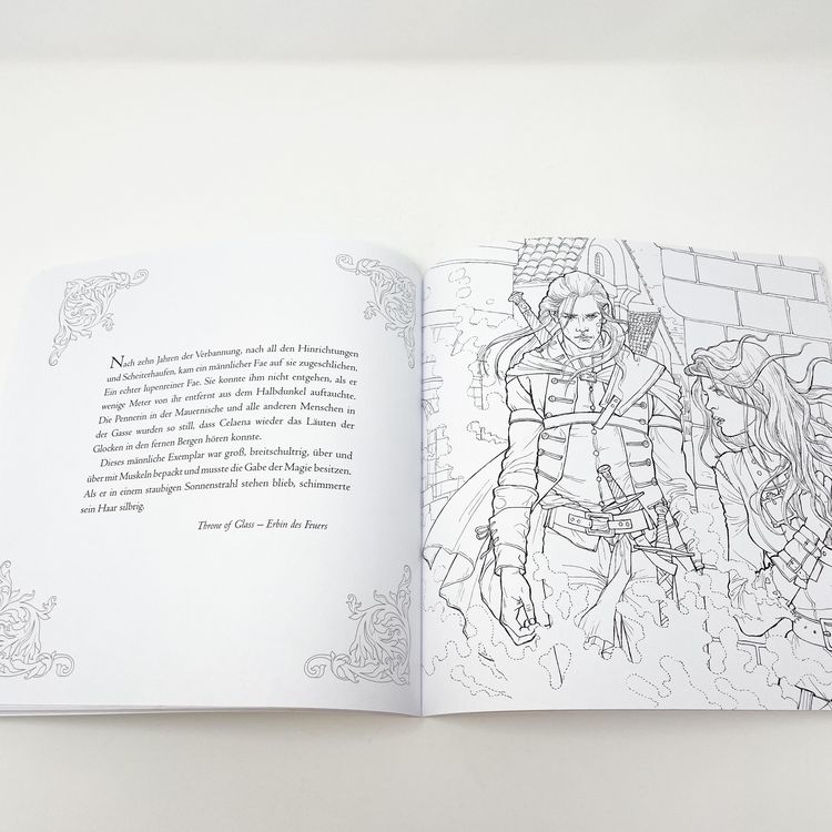 Produktbild: Das gro&szlig;e Throne of Glass-Fanbuch
