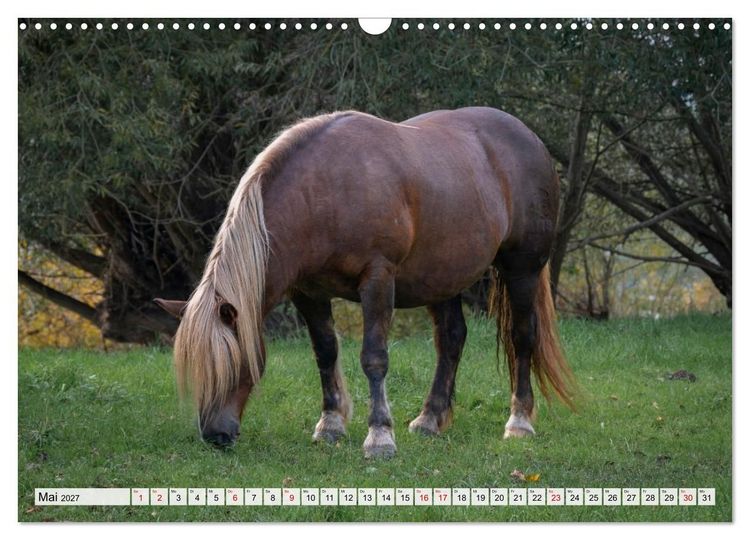 Produktbild: Heimatmomente - L&auml;ndliche Impressionen (Wandkalender 2027 DIN A3 quer), CALVENDO Monatskalender
