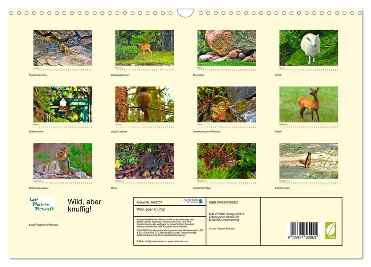 Produktbild: Wild, aber knuffig! (Wandkalender 2026 DIN A3 quer), CALVENDO Monatskalender