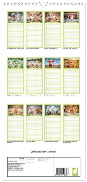 Produktbild: Familienplaner 2026 - Schottische Hochland Rinder mit 5 Spalten (Wandkalender, 21 x 45 cm) CALVENDO