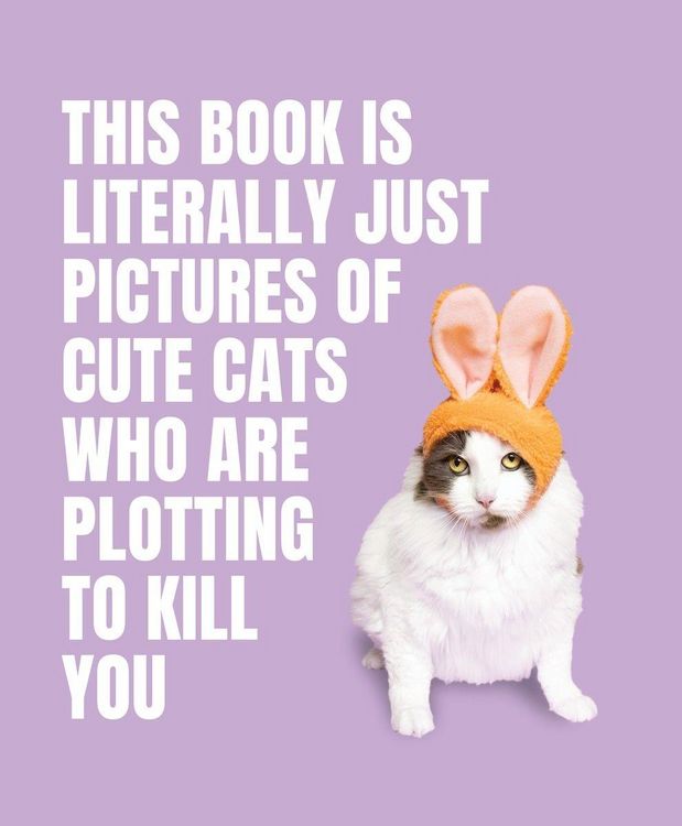 Produktbild: This Book is Literally Just Pictures of Cute Cats Who Are Plotting to Kill You