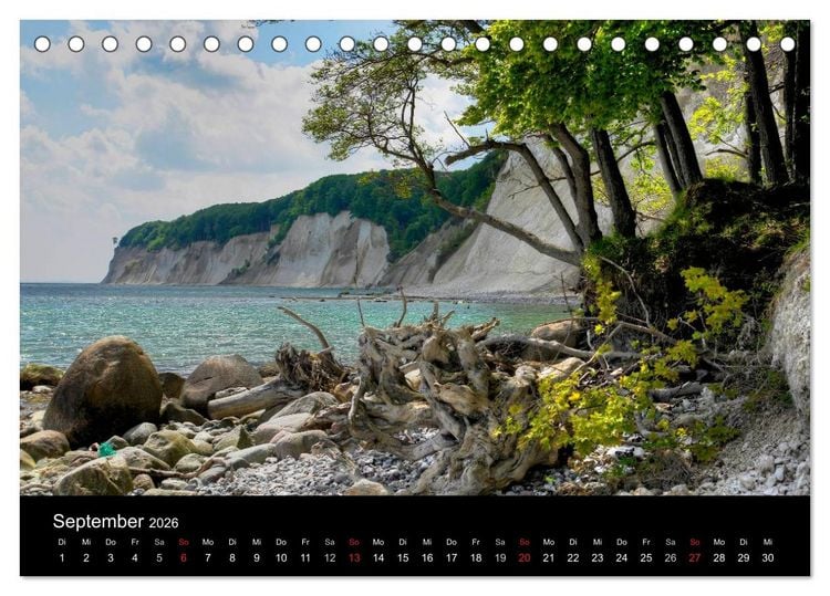 Produktbild: Baum-Variationen (Tischkalender 2026 DIN A5 quer), CALVENDO Monatskalender