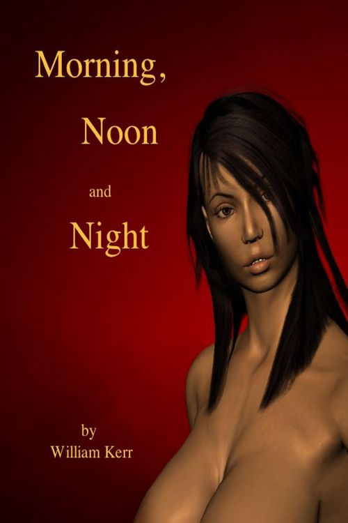 Produktbild: Morning, Noon and Night