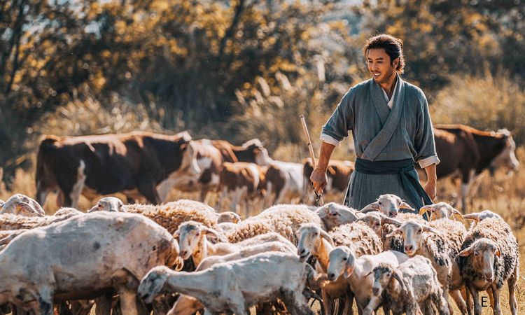 Produktbild: Donnie Yen's SAKRA