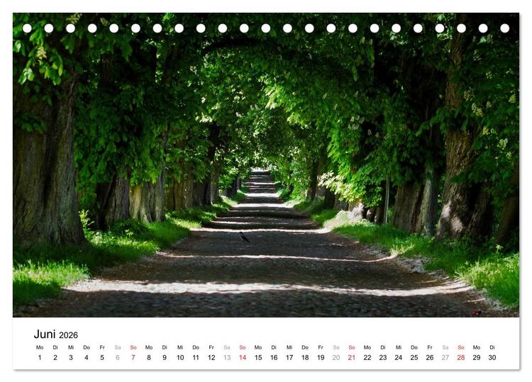 Produktbild: R&uuml;gen (Tischkalender 2026 DIN A5 quer), CALVENDO Monatskalender