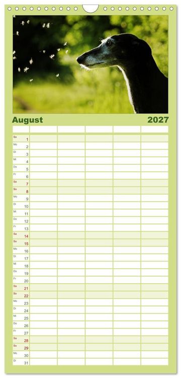 Produktbild: Familienplaner 2027 - Der Windhundekalender mit 5 Spalten (Wandkalender, 21 x 45 cm) CALVENDO