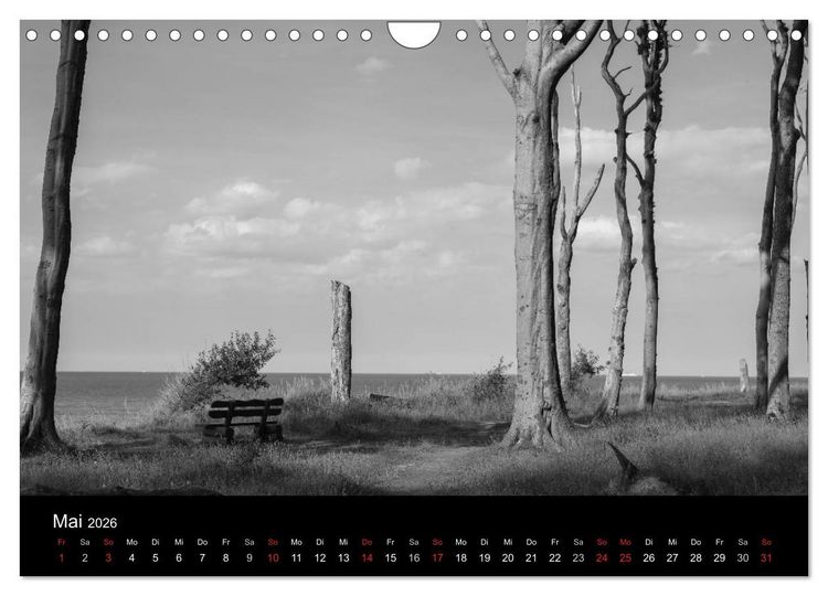 Produktbild: B&auml;ume trees 2026 (Wandkalender 2026 DIN A4 quer), CALVENDO Monatskalender