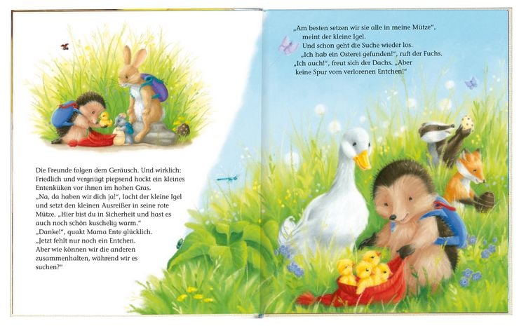 Produktbild: Der kleine Igel und das verlorene Entchen