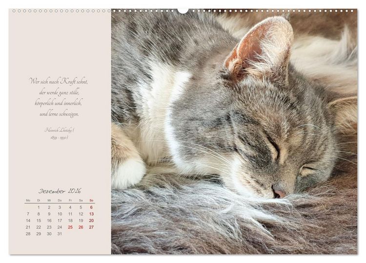 Produktbild: H&auml;ng einfach mal ab (hochwertiger Premium Wandkalender 2026 DIN A2 quer), Kunstdruck in Hochglanz