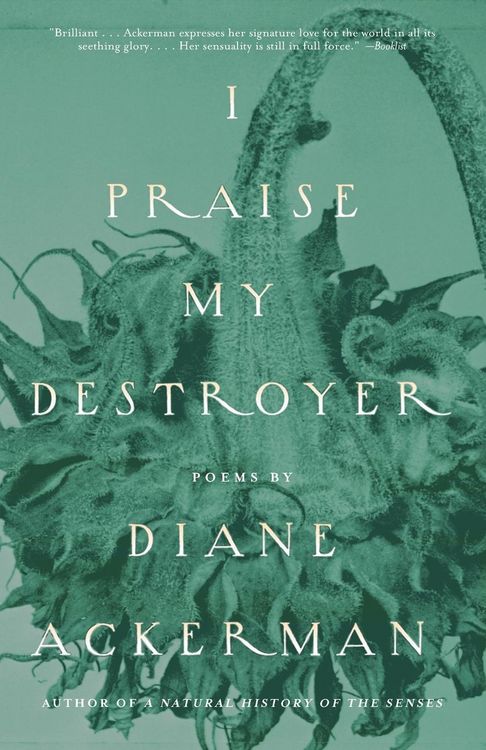 Produktbild: I Praise My Destroyer