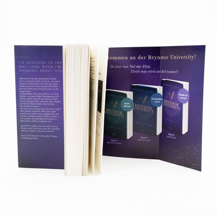 Produktbild: Brynmor University &ndash; Rivalen