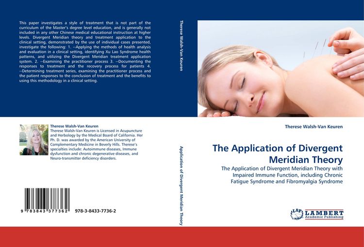 Produktbild: The Application of Divergent Meridian Theory