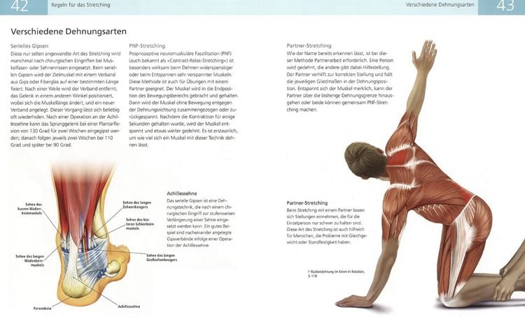 Produktbild: Die Anatomie des Stretchings