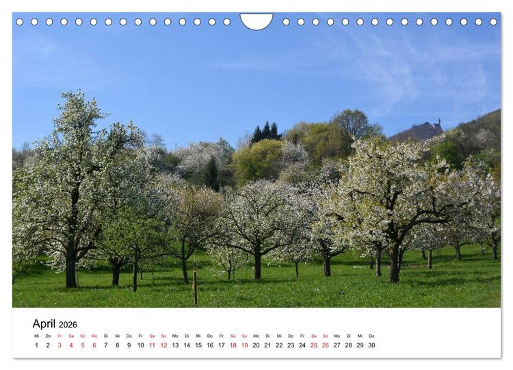 Produktbild: Zauberhafte Schw&auml;bische Alb (Wandkalender 2026 DIN A4 quer), CALVENDO Monatskalender