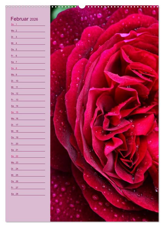 Produktbild: Rosen Symphonie (hochwertiger Premium Wandkalender 2026 DIN A2 hoch), Kunstdruck in Hochglanz