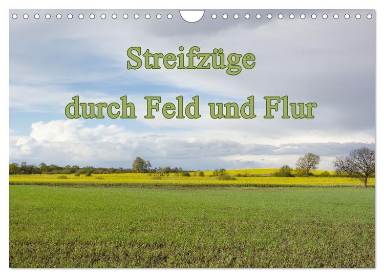 Produktbild: Streifz&uuml;ge durch Feld und Flur (Wandkalender 2026 DIN A4 quer), CALVENDO Monatskalender