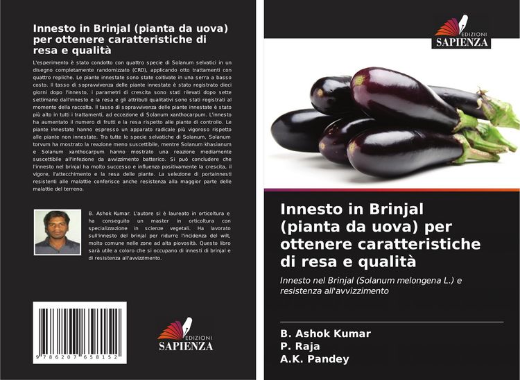 Produktbild: Innesto in Brinjal (pianta da uova) per ottenere caratteristiche di resa e qualit&agrave;
