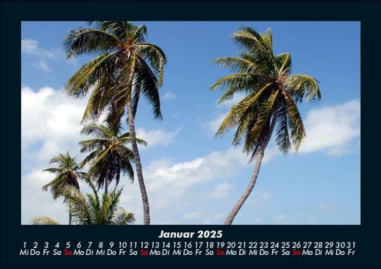 Produktbild: Palmentraum 2025 Fotokalender DIN A5