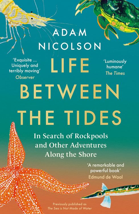 Produktbild: LIFE BETWEEN TIDES PB