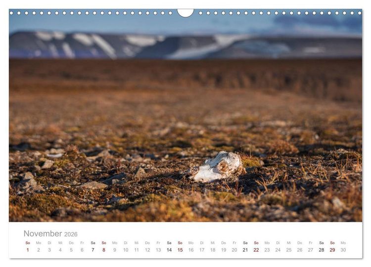 Produktbild: Spitzbergen - Wild.Rau.Ungez&auml;hmt. (Wandkalender 2026 DIN A3 quer), CALVENDO Monatskalender