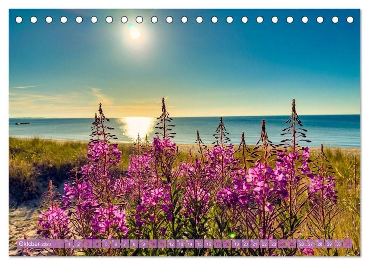 Produktbild: SCHWEDEN wild-romantisch (Tischkalender 2026 DIN A5 quer), CALVENDO Monatskalender