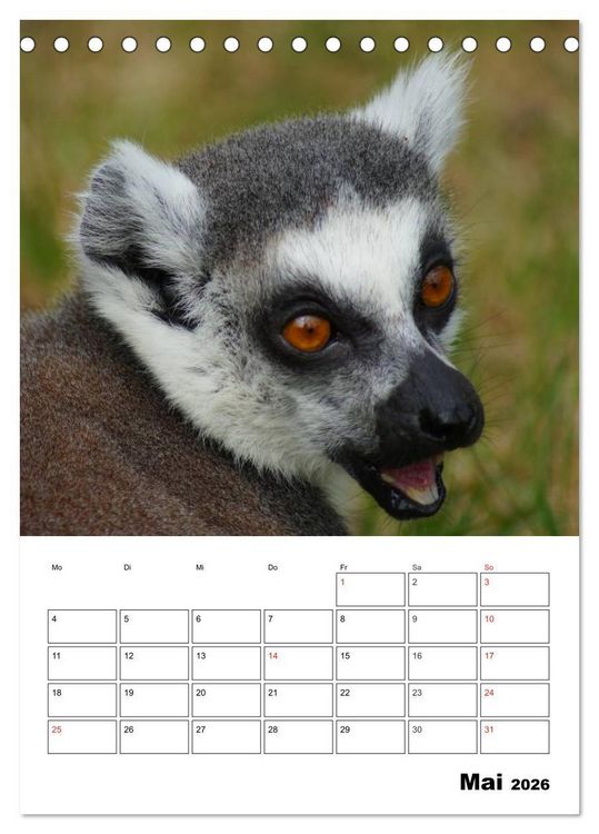 Produktbild: Katta Terminplaner (Tischkalender 2026 DIN A5 hoch), CALVENDO Monatskalender